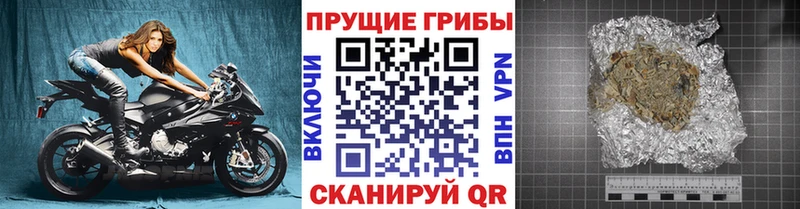Псилоцибиновые грибы Psilocybine cubensis  Купить закладки  Нефтекамск 